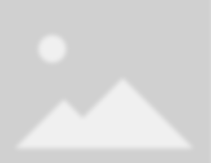 Mendez Tree Service & Landscaping service image 1